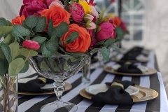 00100dPORTRAIT_00100_BURST20200801151153597_COVER