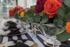 00100dPORTRAIT_00100_BURST20200801151837848_COVER